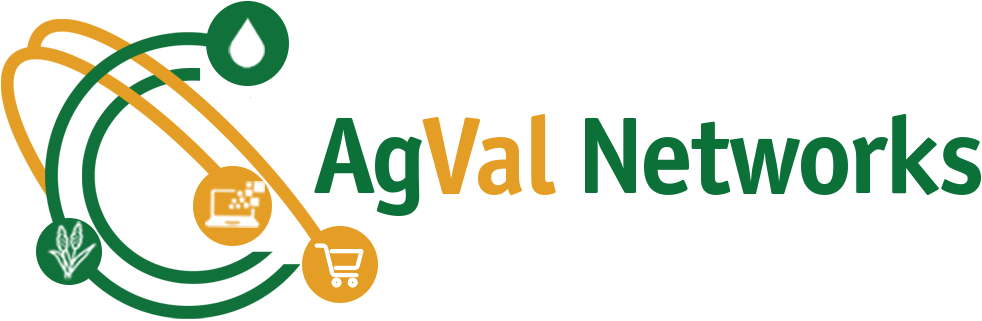 AgVal Networks Logo